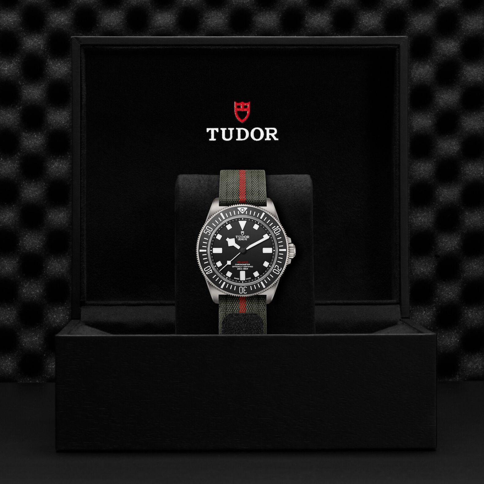 Tudor Pelagos FXD M25717N 0001 Maison Birks